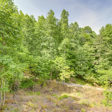 Brysons Hidden Valley Ranch - Quiet Nc Cabin! Villa